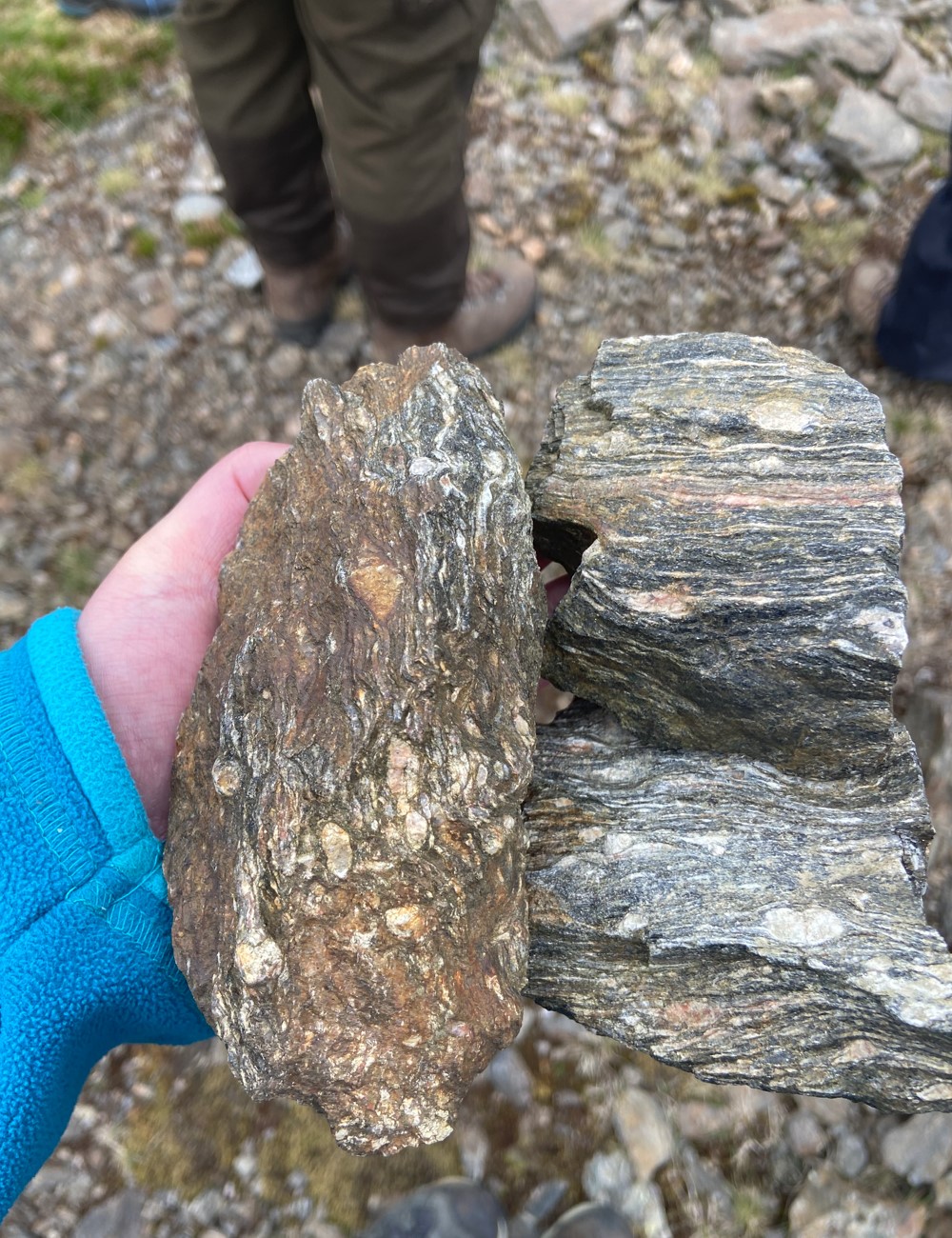 Day 4 Augen Gneiss Samples